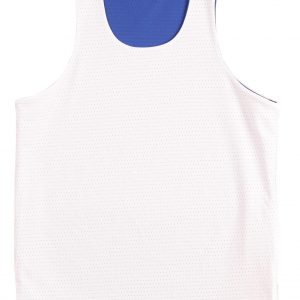 TS81 -