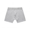 1211 TRUNK - GREY MARLE