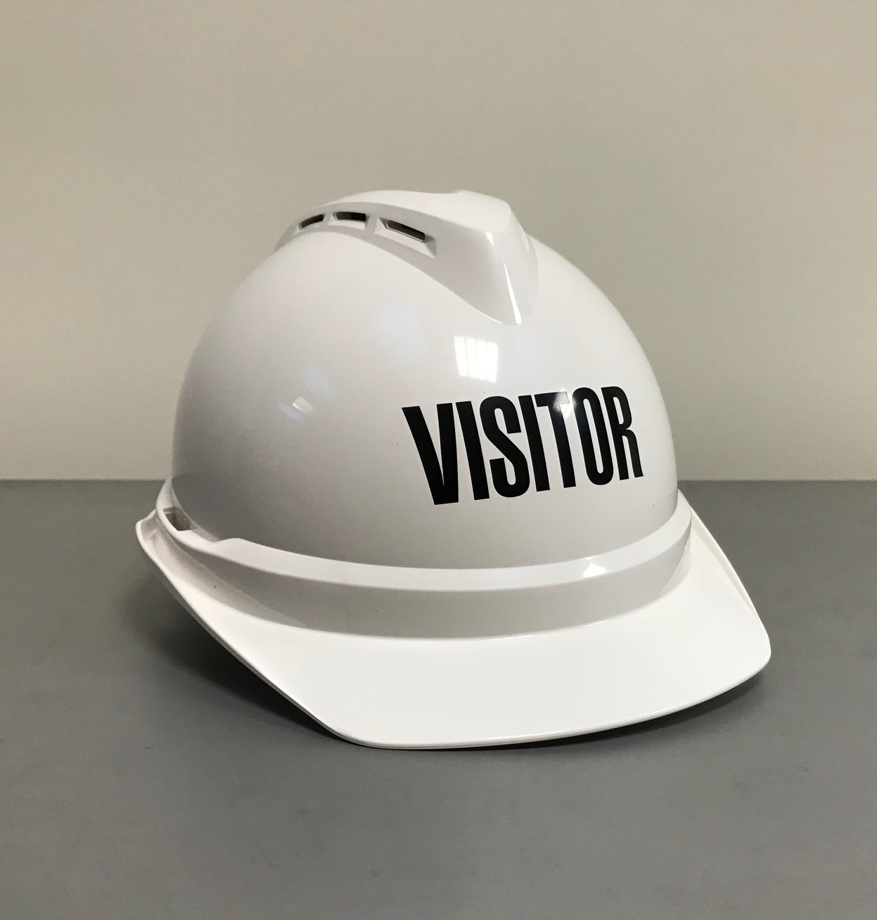 White with VISITOR + ICON Logo – Leaf Group