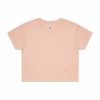 4062 CROP TEE - PALE PINK